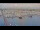 Webcam in Oudeschild (Texel), 10 mi away