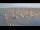 Webcam in Oudeschild (Texel), 42.1 km entfernt