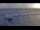 Webcam in Texel - Oudeschild, 6.8 km