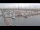 Webcam in Oudeschild (Texel), 9 km entfernt