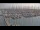 Webcam in Oudeschild (Texel), 1 km