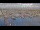 Webcam in Oudeschild (Texel), 10 mi away