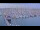Webcam in Oudeschild (Texel), 43.1 km