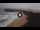 Webcam in Suances, 19.5 km