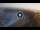 Webcam in Suances, 7.5 mi away