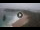 Webcam in Suances, 3.8 mi away