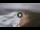 Webcam in Suances, 20.2 km entfernt