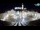 Webcam in Pirano, 0.9 km