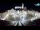 Webcam in Piran, 1.1 mi away