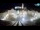 Webcam in Piran, 0 mi away