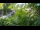 Webcam in Zagabria, 46.2 km