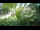 Webcam in Zagabria, 46.2 km