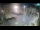 Webcam in Zadar, 1.1 mi away