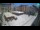 Webcam in Zadar, 0.1 km