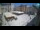 Webcam in Zadar, 0.1 km