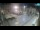 Webcam in Zadar, 0.4 km