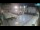 Webcam in Zadar, 10.1 mi away