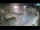 Webcam in Zadar, 0.4 km entfernt