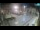 Webcam in Zadar, 0.1 mi away