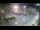 Webcam in Zadar, 5 km