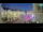 Webcam in Pirano, 2.8 km