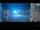 Webcam in Pirano, 0 km