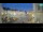 Webcam in Piran, 0.1 km entfernt