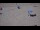 Webcam in Cucq, 29.2 km