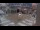 Webcam in New Orleans, Louisiana, 1.8 km