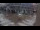 Webcam in New Orleans, Louisiana, 146.4 km