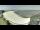 Webcam in Le Pouliguen, 0.5 km