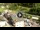 Webcam in Alleghe, 33.5 km entfernt