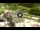 Webcam in Alleghe, 0 km