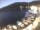 Webcam in Valun (Cres), 6.9 km entfernt