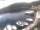Webcam in Valun (Cherso), 21.3 km