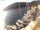 Webcam in Valun (Cres), 6.9 km entfernt