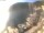 Webcam in Valun (Cres), 3.7 mi away