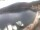 Webcam in Valun (Crès), 5.3 km