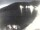 Webcam in Valun (Cres), 5.3 km