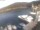 Webcam in Valun (Crès), 5.3 km
