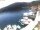 Webcam in Valun (Cres), 5.3 km entfernt