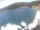 Webcam in Valun (Cres), 2.1 mi away