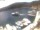 Webcam in Valun (Cres), 6.9 km entfernt