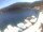 Webcam in Valun (Cherso), 6.9 km