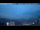 Webcam in Venice, 0.4 mi away