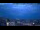 Webcam in Venecia, 1 km