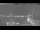 Webcam in Venice, 0.1 mi away