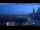 Webcam in Venice, 9.1 mi away