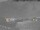 Webcam in Venice, 11.6 mi away