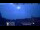 Webcam in Venice, 12.9 mi away
